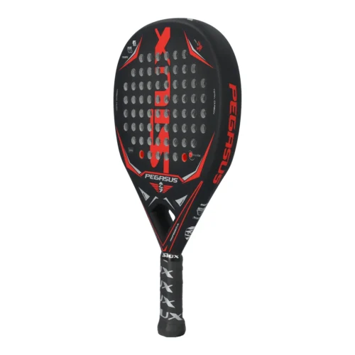 SIUX PEGASUS 3K 2022-2