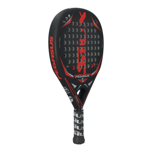 SIUX PEGASUS 3K 2022-3