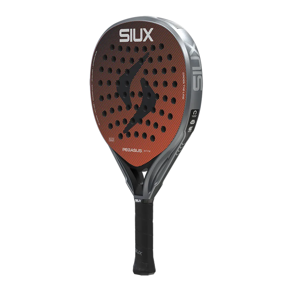Inicio 28 Siux Pegasus Elite 2026